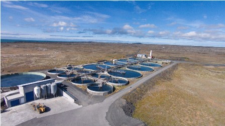 Staður - Fish nursery and on-growing farm Stadur_fish_farm