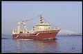 m_baldvineanyr2_120