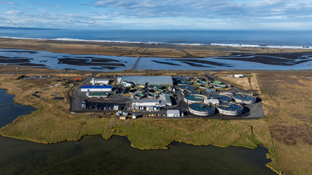 Silfurstjarnan í Öxarfirði