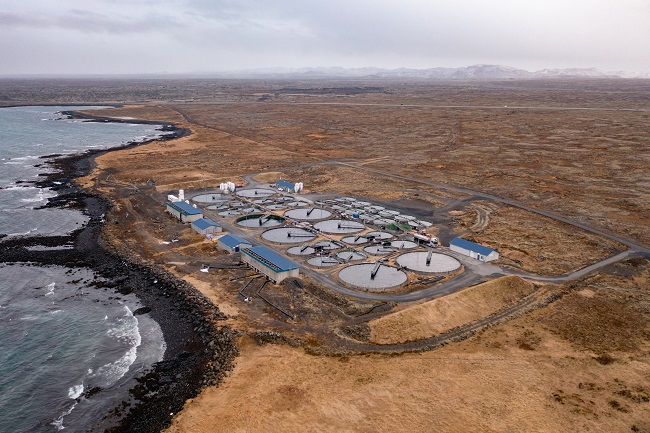 Fishfarm Vatnsleysa in Reykjanes