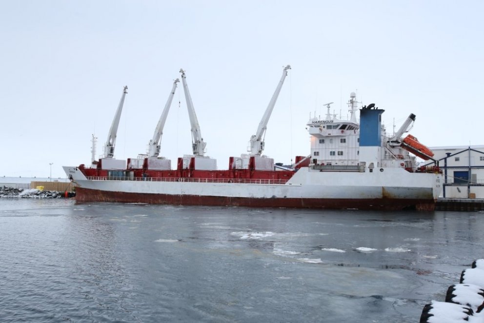 Harengus sails through the Strait of Magellan
