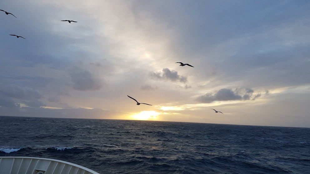 Engar lögregluaðgerðir gegn starfsfólki