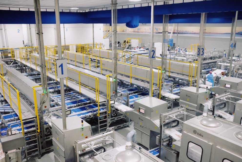 Fersk afurð tilbúin til afhendingar innan við klukkustund frá löndun