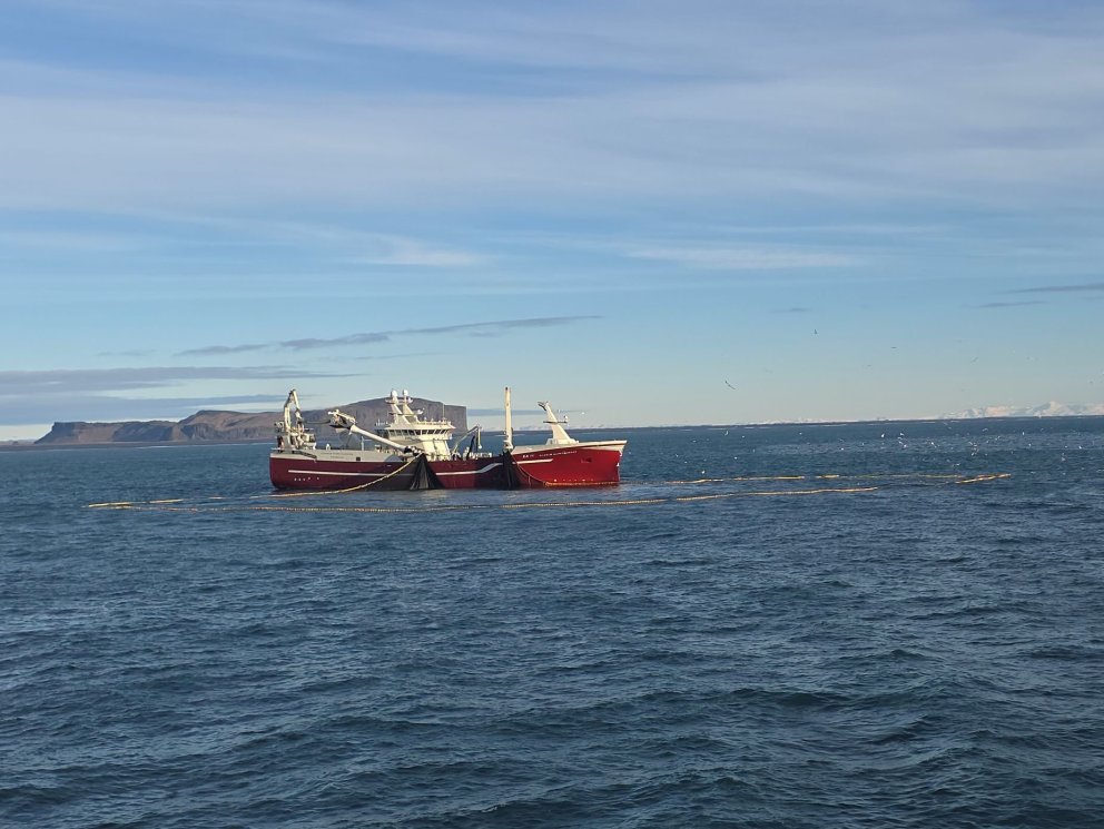 Vilhelm Þorsteinsson EA 11 að veiðum í blíðskaparverði í dag / mynd Hjörtur Valsson.