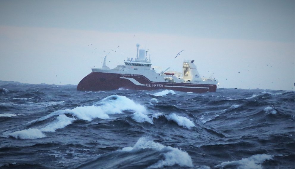 Björgúlfur EA 312 - mynd:Þorgeir Baldursson