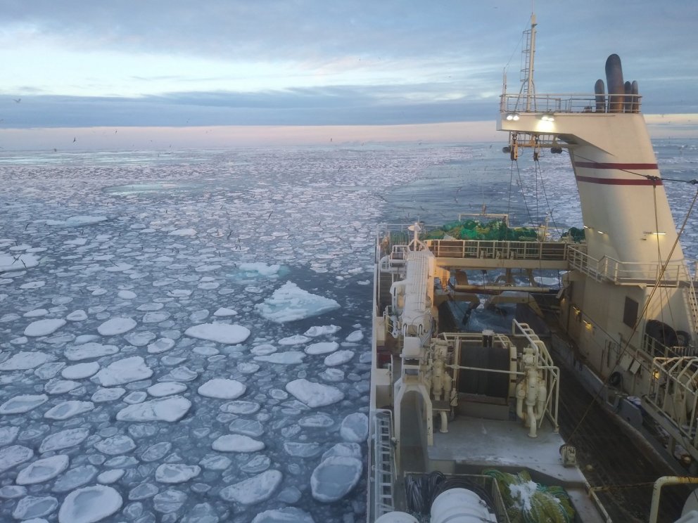 Cuxhaven NC á Dohrnbanka/myndir Stefán Viðar Þórisson
