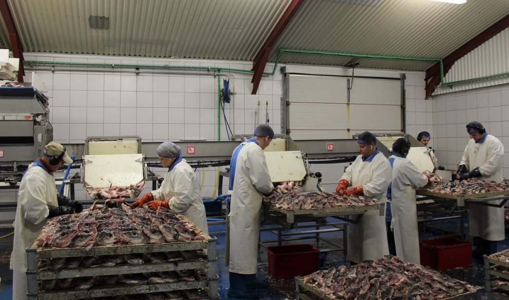 Með nýja dælibúnaðinum verður vinnslan hagkvæmari