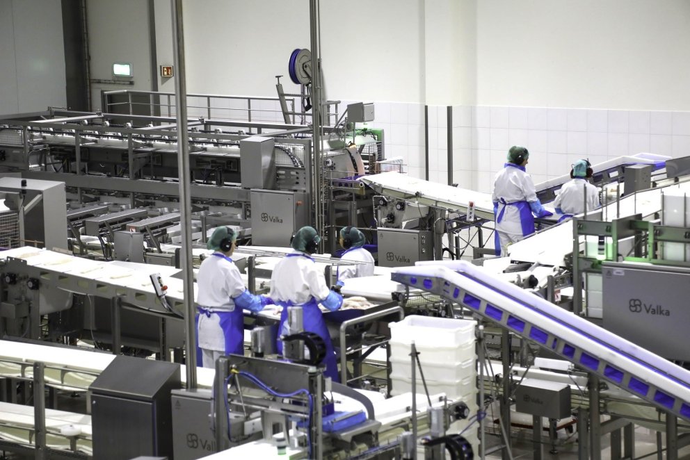 Landvinnsla ÚA á Akureyri/ mynd Hörður Geirsson/samherji.is