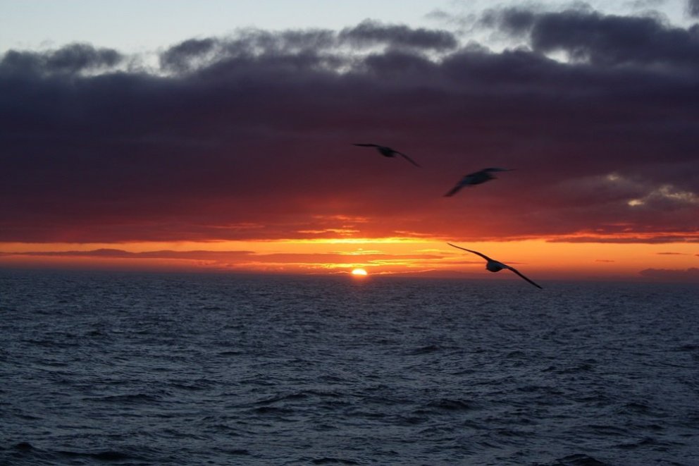 Fyrrverandi framkvæmdastjóri kærður til lögreglu