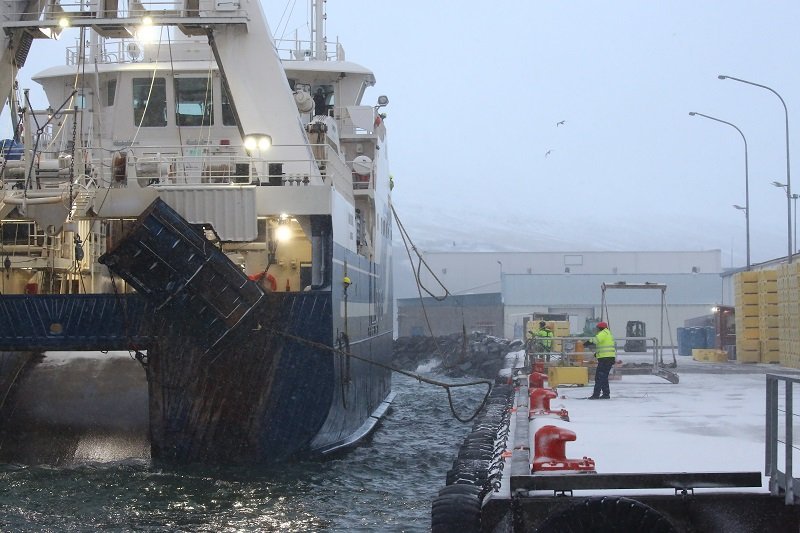 Samherjar í vetrarstemningu