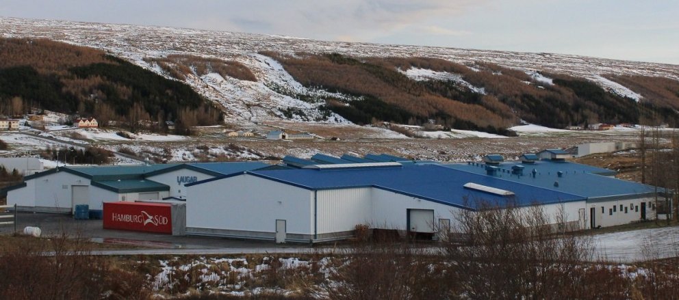 Vikulega eru fluttir út tveir stórar gámar af þurrkuðum hryggjum og hausum/myndir samherji.is