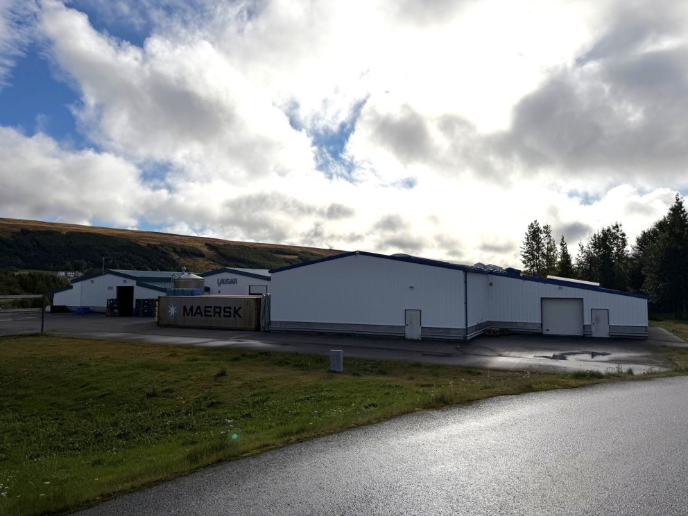 Fiskþurrkun Samherja að Laugum.