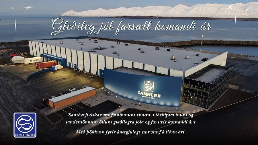 Gleðileg Jól og farsælt komandi ár!