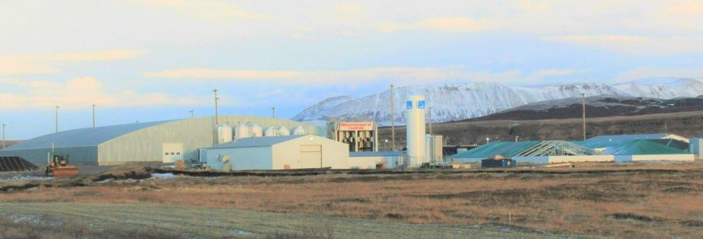 Silfurstjarnan í Öxarfirði/myndir samherji.is