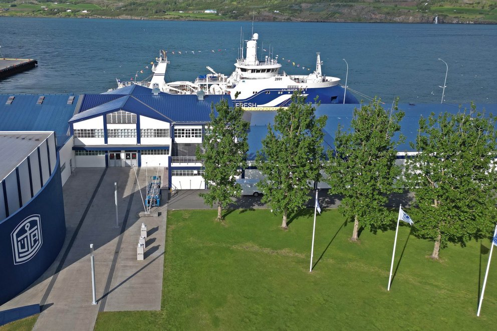 Frystihús ÚA við Fiskitanga á Akureyri. Togarinn Kaldbakur EA 1 liggur vuið bryggju, fánum prýddur /…