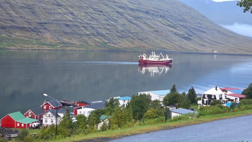 Vilhelm Þorsteinsson EA-11 siglir inn til Eskifjarðar í morgun. Ljósmynd: Hlynur Ársælsson.